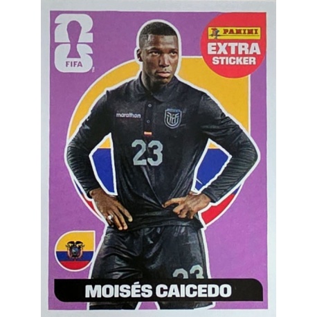 Moisés Caicedo Ecuador Extra Stickers